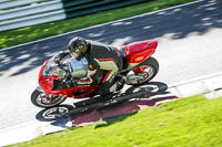 cadwell-no-limits-trackday;cadwell-park;cadwell-park-photographs;cadwell-trackday-photographs;enduro-digital-images;event-digital-images;eventdigitalimages;no-limits-trackdays;peter-wileman-photography;racing-digital-images;trackday-digital-images;trackday-photos